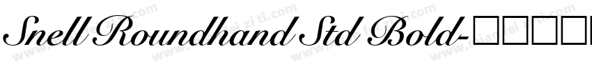 Snell Roundhand Std Bold字体转换